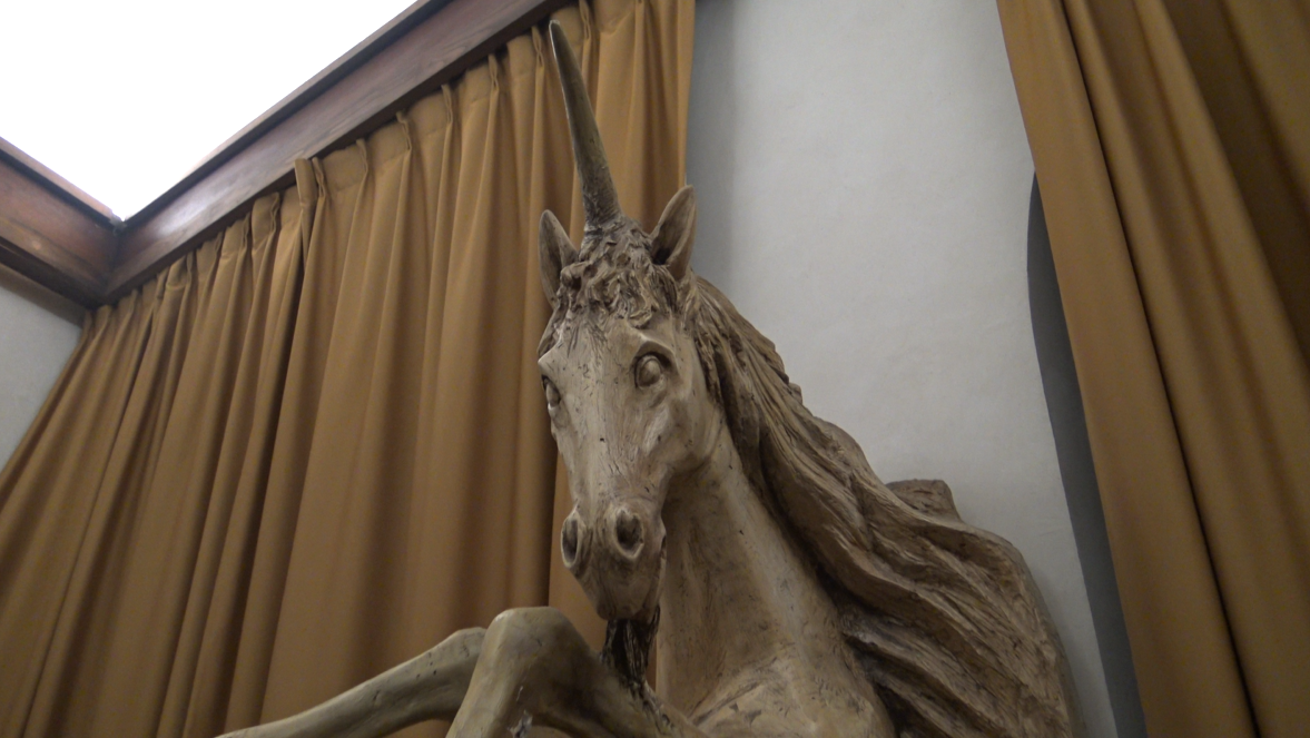 appunatmento-con-il-leocorno-per-il-format-in-contrada
