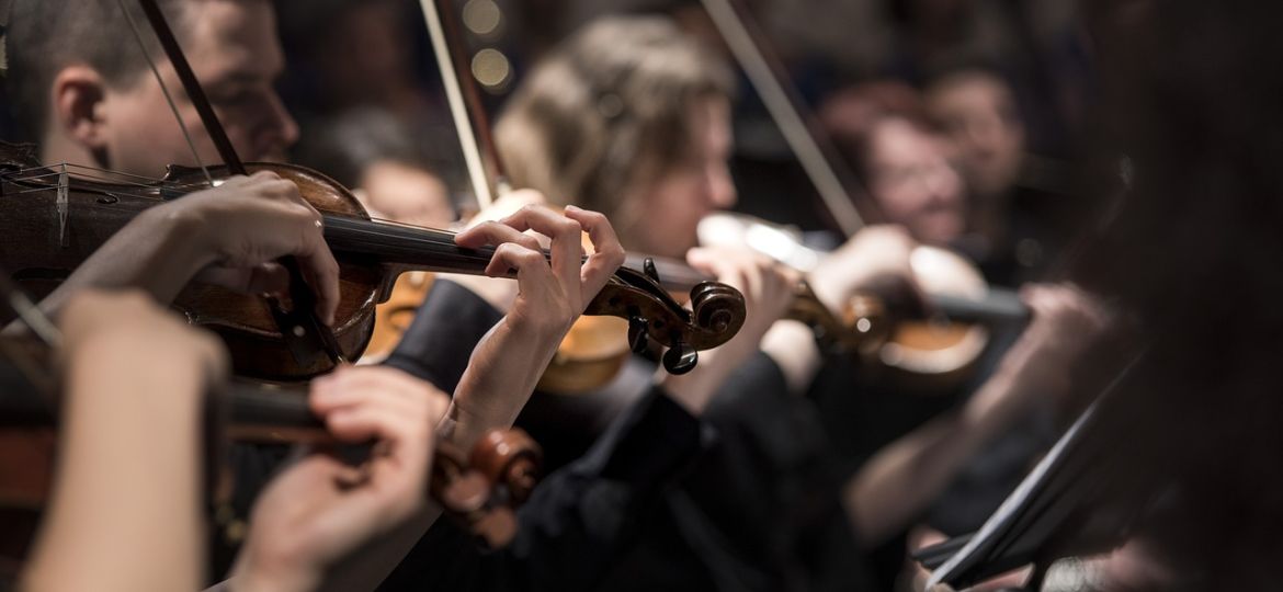 violins-1838390_1280