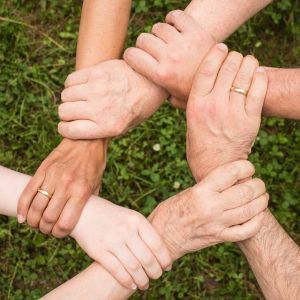 team-spirit-2447163_1280