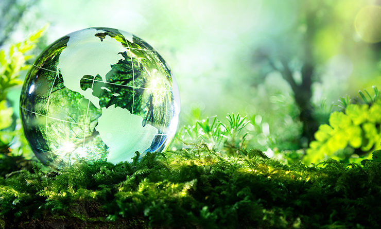 biodiversit-740x445