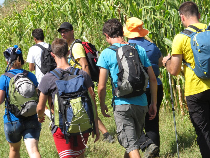 giubileo-dal-29-al-31-luglio-oltre-2300-ragazzi-invaderanno-siena-tappa-per-poi-andare-a-roma-da-leone-xiv