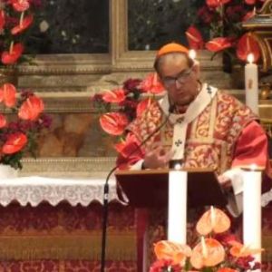 lojudice-cardinale-1-thegem-blog-default