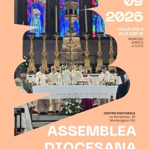 assemblea dicoesnba